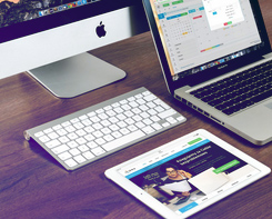 Web Design & Development